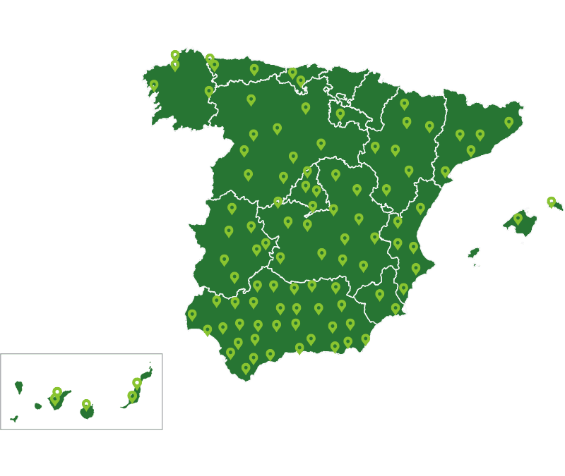Distribución mayorista artículos deportivos en España